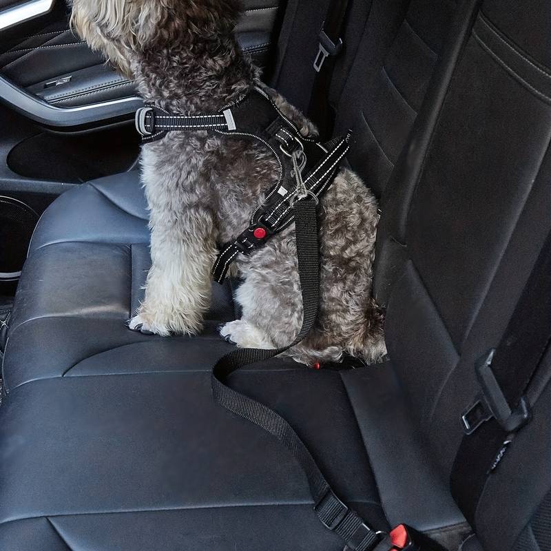 Premium Pet Car Safety Belt