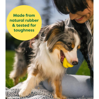 Earth Rated Dog Fetch Toy Yellow Rubber