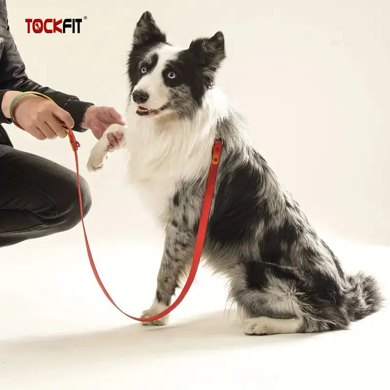 High-quality 1.2M PVC leash for pets