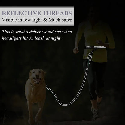 Reflective Elastic Jogging Leash