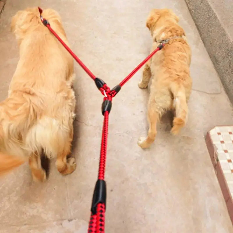Reflective Dual-Handle Two-Way Dog Leash